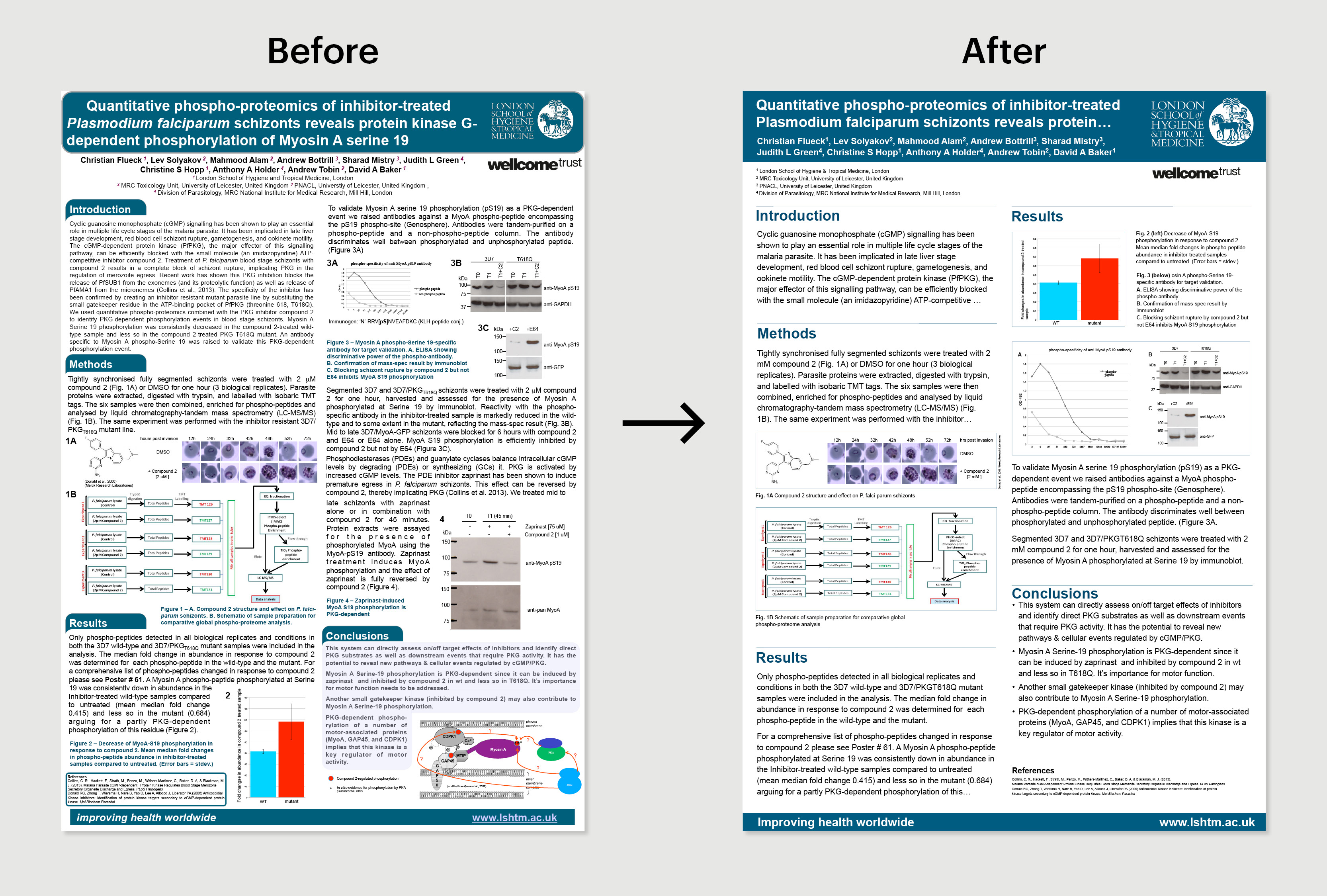 Design Science Research Poster Templates For London School Of Hygiene design-science-research-poster-templates-for-london-school-of-hygiene